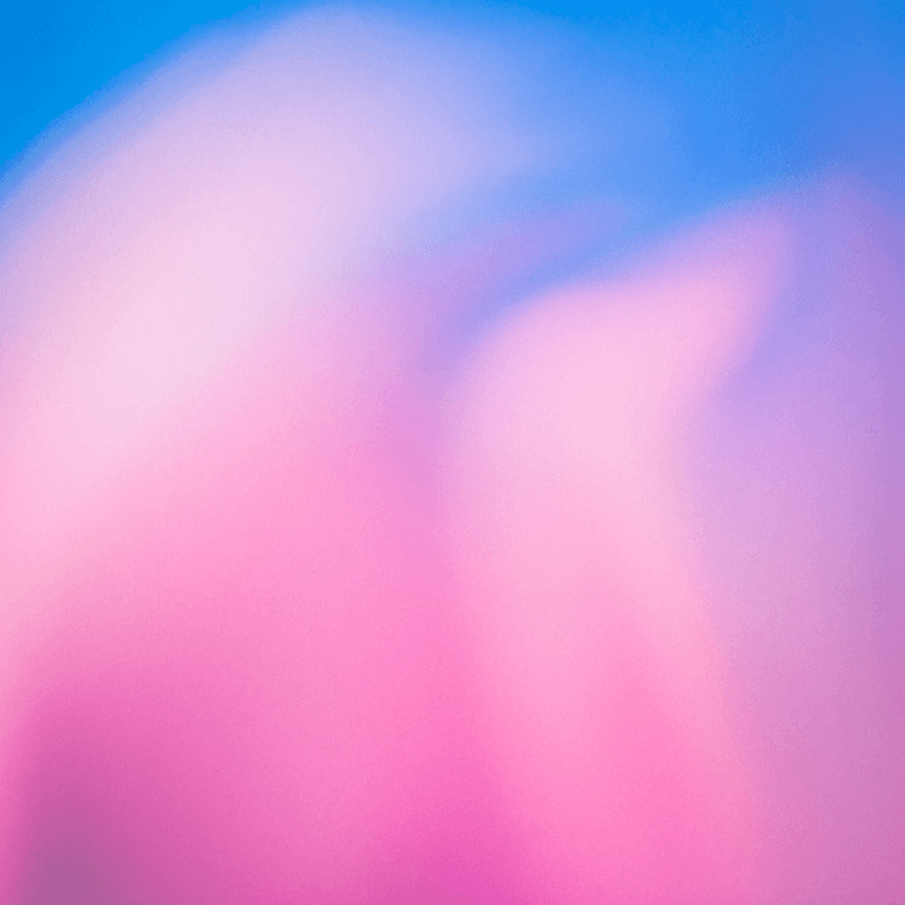 niw application guide sde